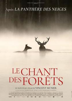 LE CHANT DES FORÊTS